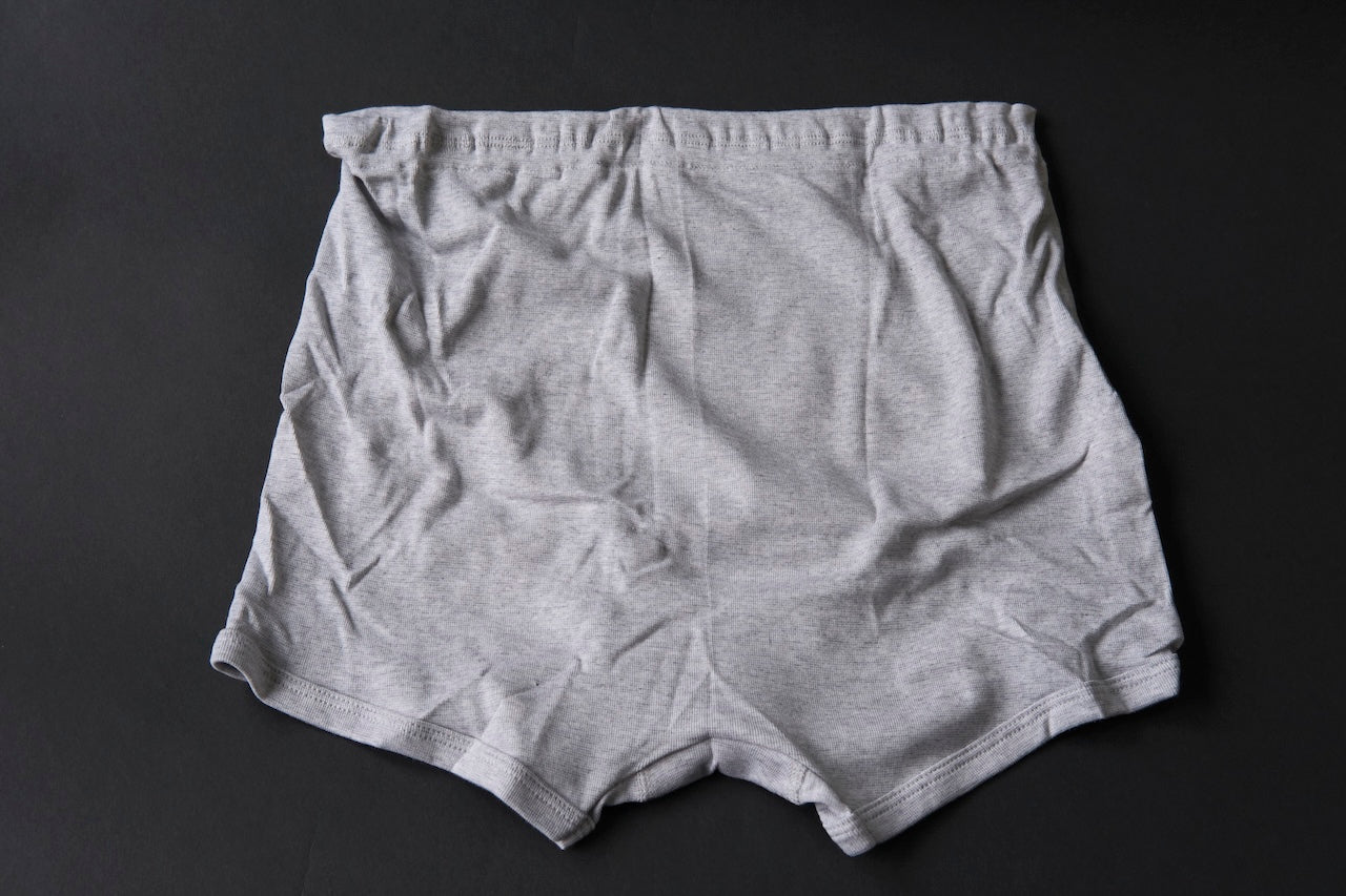 GUNZE Trunks (Front Opening) Gray Moch