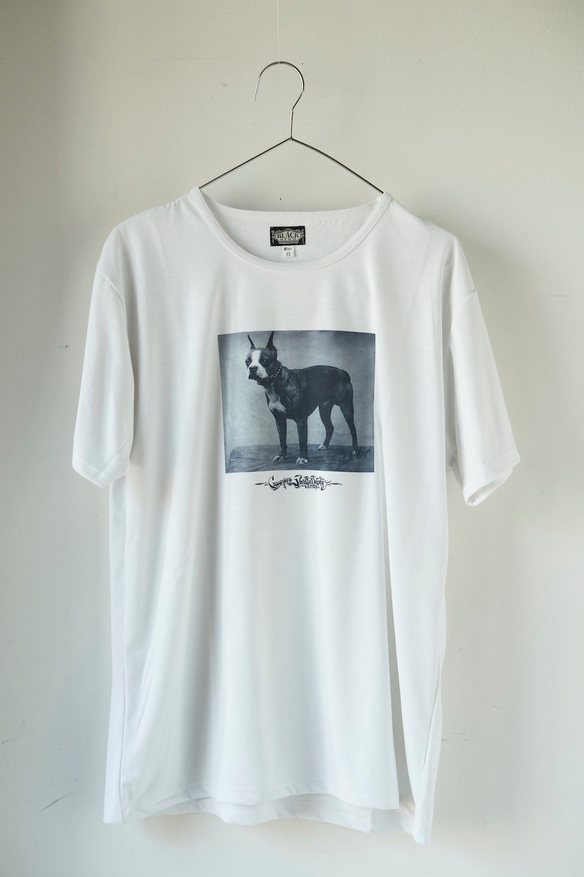 BLACK SIGN CHAMPION VIVILLO DANDAY COOLING UNDERWEAR